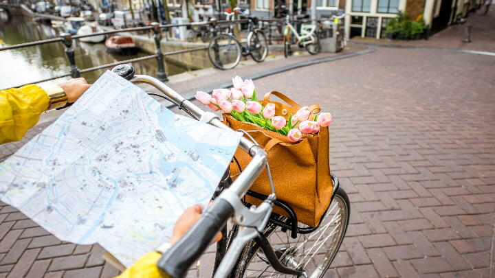First-person view riding a bicycle with a basket of tulips while reading a map