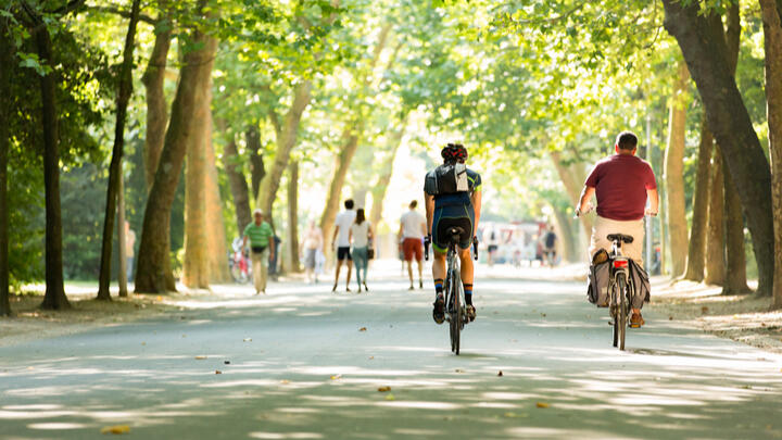 things to do alone in Amsterdam