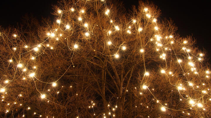 lights