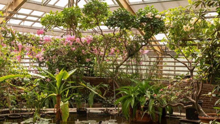 romantic things to do in amsterdam
