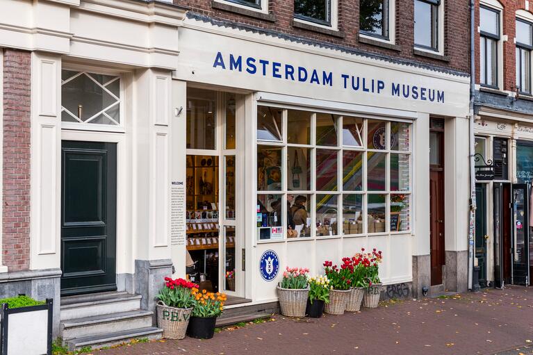 Le Musée des tulipes