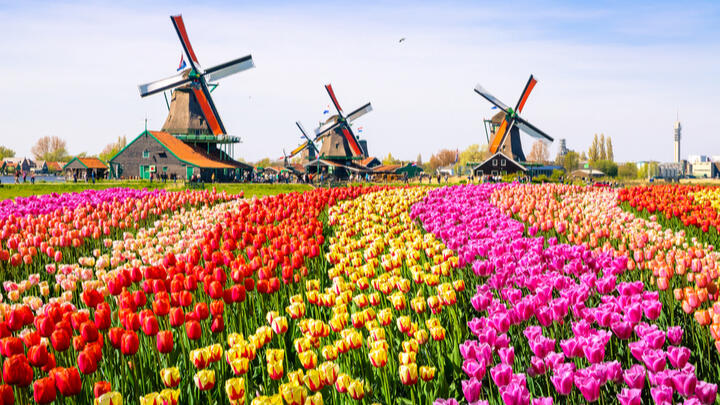 best day trips from Amsterdam