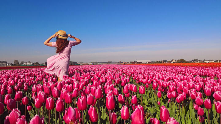 romantic things to do in amsterdam