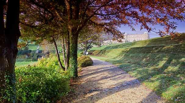 Wicklow%20New%201.jpg
