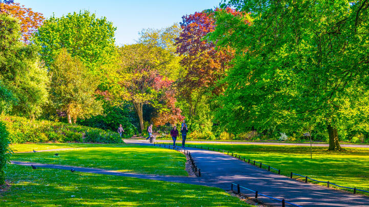 St Stephen's Green in Dublin.
