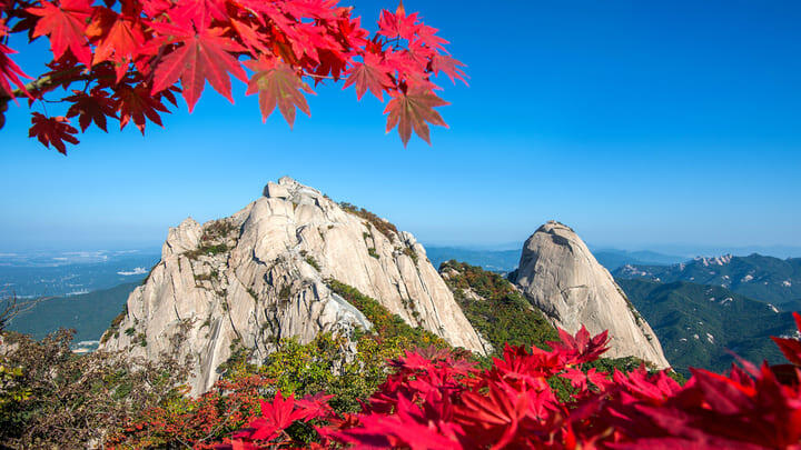 Baegundae peak and Bukhansan mountain in autumn.