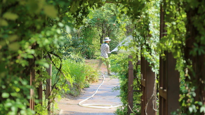 Gardener watering plants in the Jade Garden in Chuncheon, near Seoul.