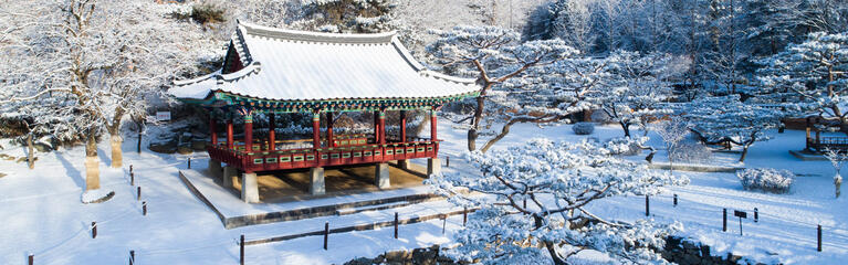 Snow-covered pagoda and gardens during winter at Korea Folk Village