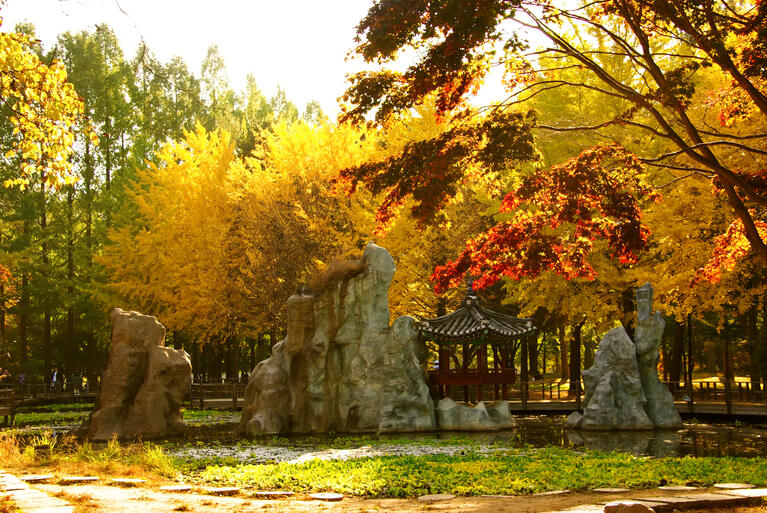 Fall color and stone formations on Nami Island, Seoul