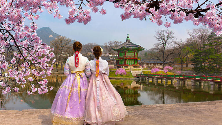 Blossoms in Seoul