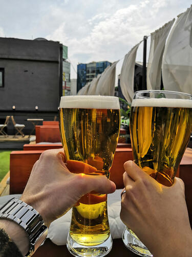 Two glasses of beer clink in the sunshine