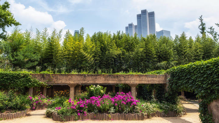 Garden planted in former water treatment works in Seoul Forest.
