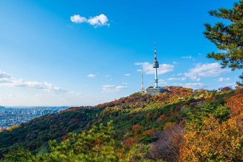 Fall colors in Seoul with the N Seoul Tower in the background
