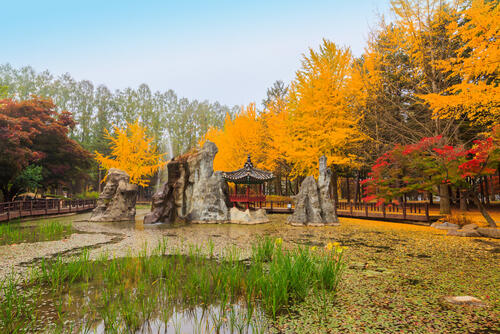 A hidden garden on Nami Island in Seoul