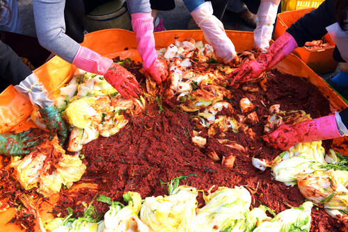 Many hands help to make Kimchi