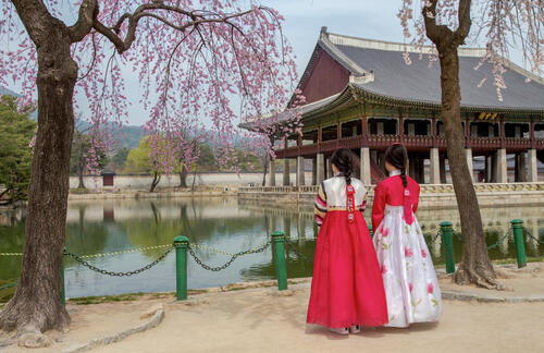 Two women in hanboks by a pond with cherry blossoms