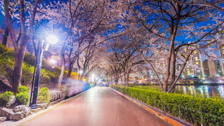 Seoul in November