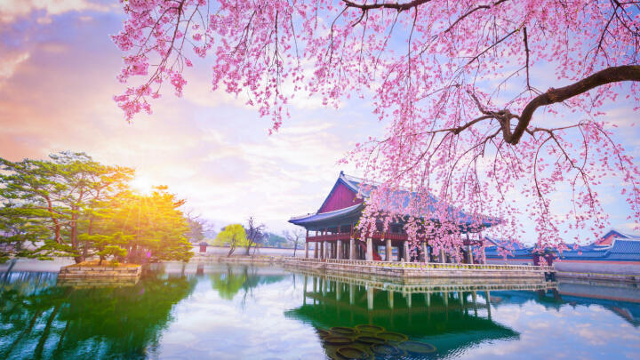 Seoul in March