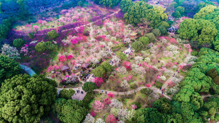 Seoul in April