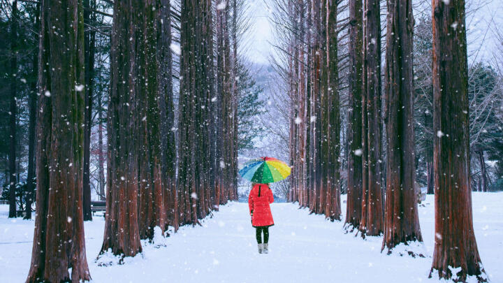 Seoul in December
