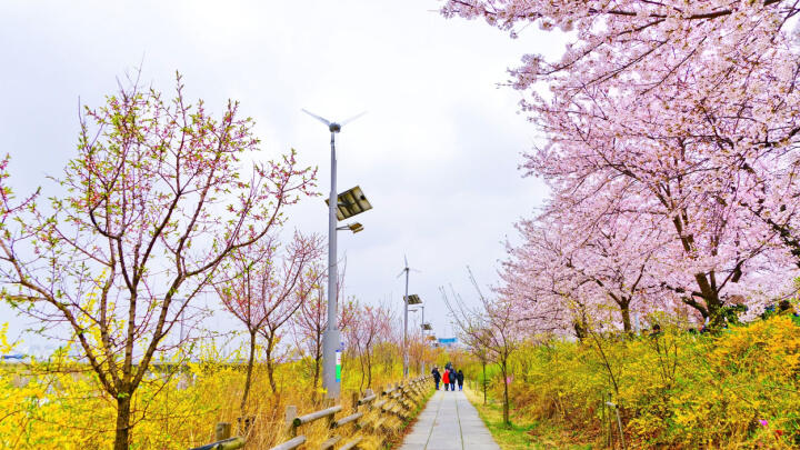 Seoul in August
