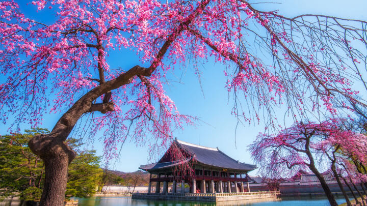 Seoul in April
