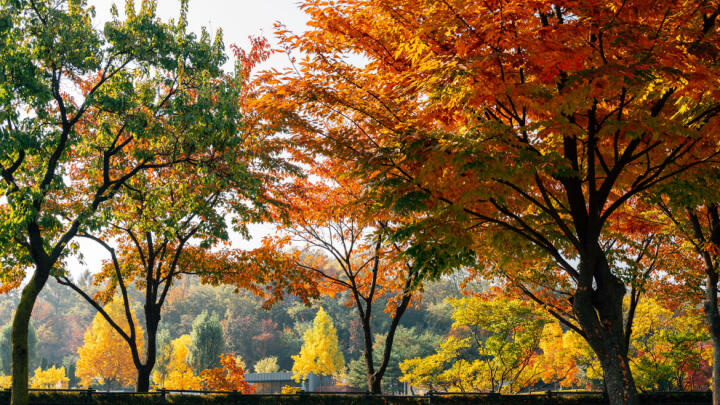 Seoul in October
