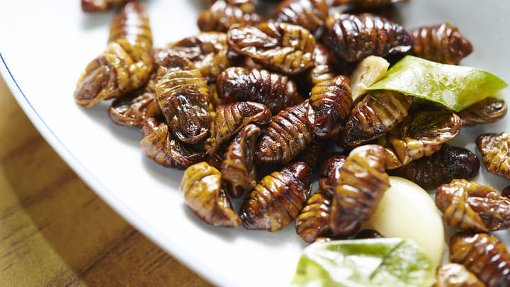 Beondegi (steamed silkworm larva), a street food snack served in Seoul and around South Korea.