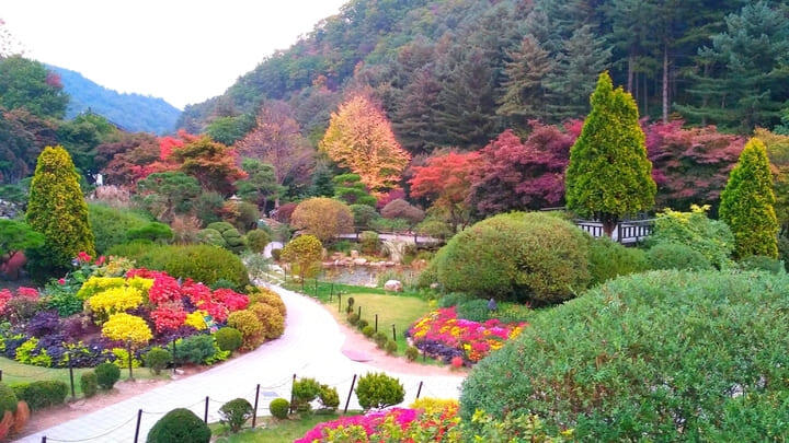 The Garden of Morning Calm in Gapyeong, near Seoul.