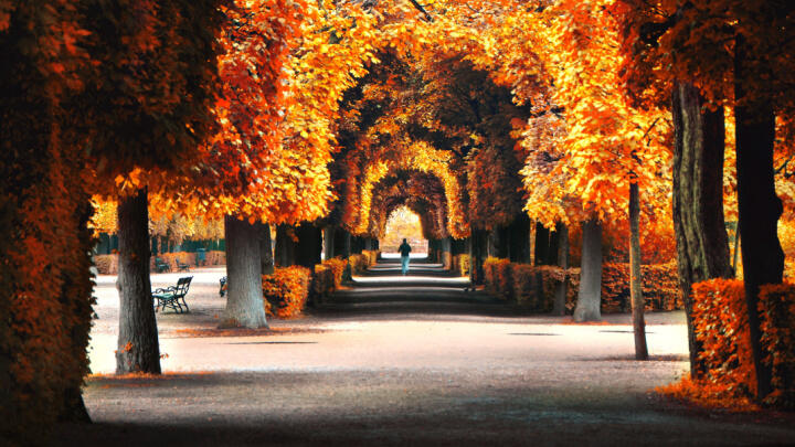 Best Time to Visit Vienna