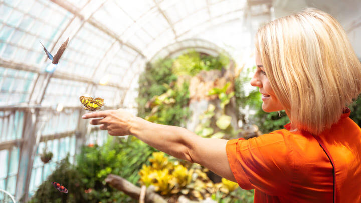 Butterfly alighting on a woman's hand inside Vienna's Imperial Butterfly House.