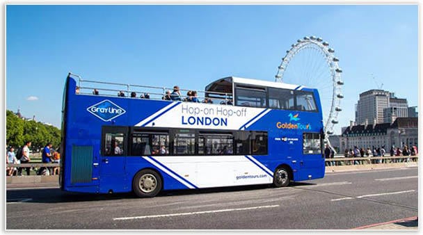 HOHO Bus Tour