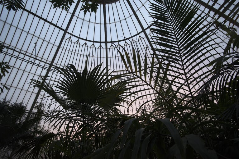 JE_KEW_9849.jpg