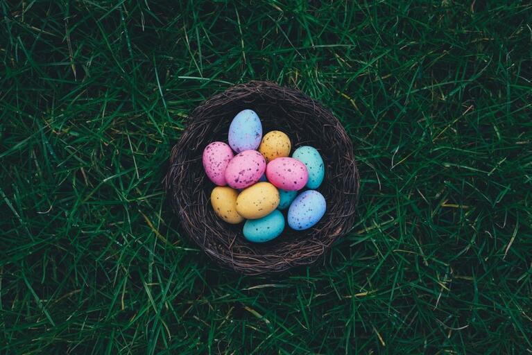 eggs1-e1582640496858.jpg