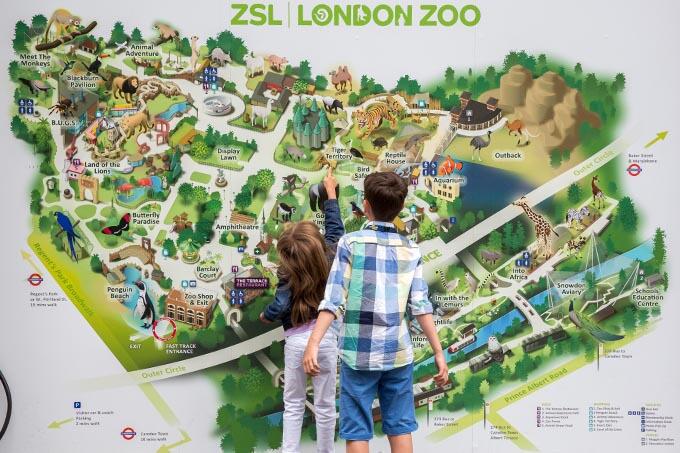Top London Zoo facts that you didn't already know! | The London Pass®