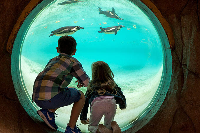 london-zoo-facts.jpg
