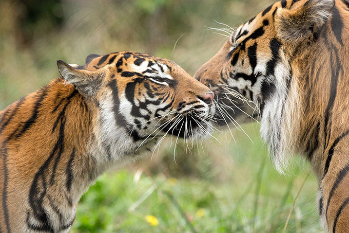 zoo-london-in-autumn.jpg
