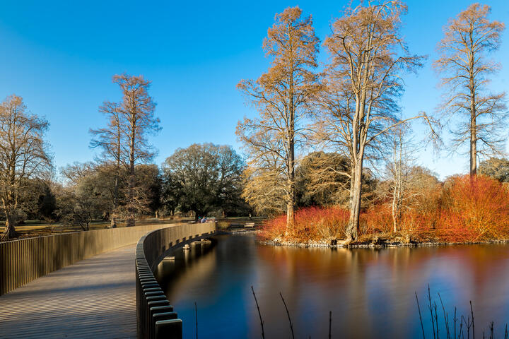 Kew Gardens