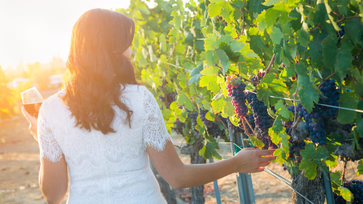 Woman walking through a vineyard