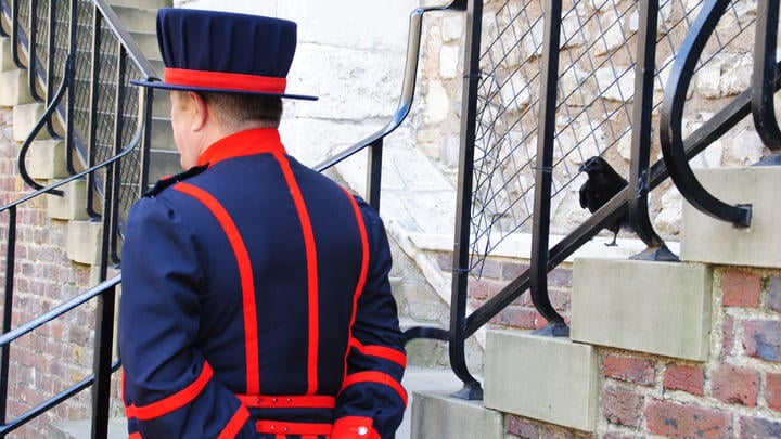 A Yeoman Guard (and raven) at the Tower of London.