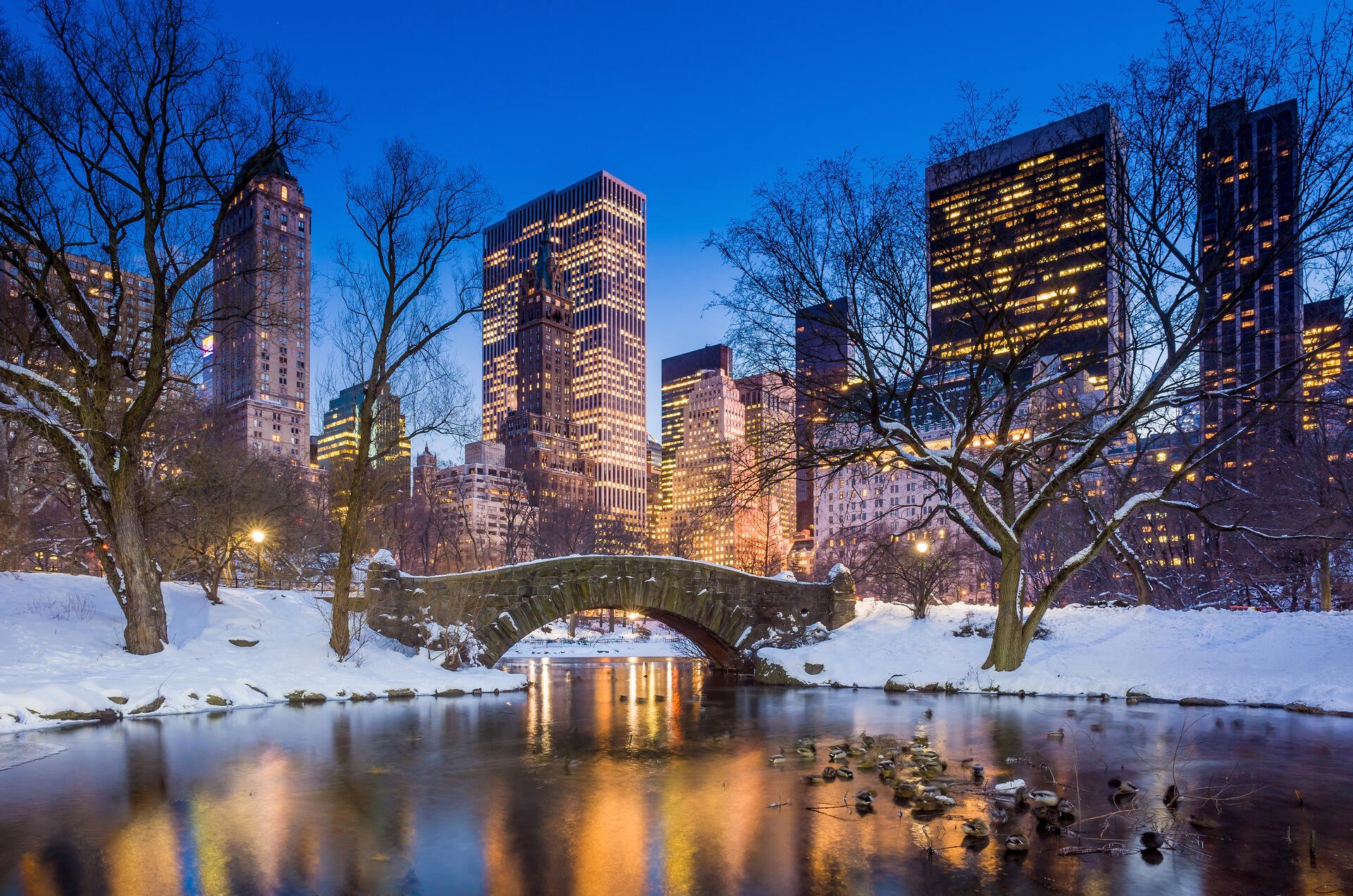 Things to Do in New York City on Cold and Snowy Days