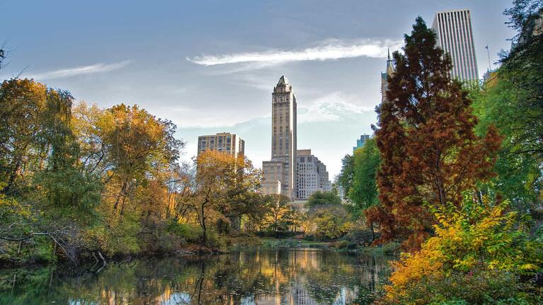 Central Park NYC