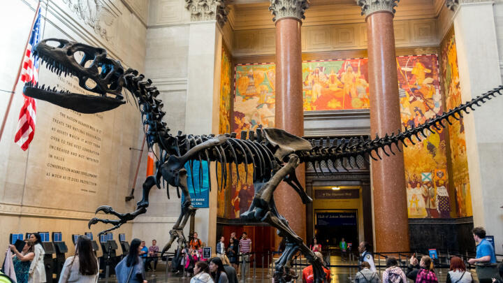 Free Things to Do in New York City