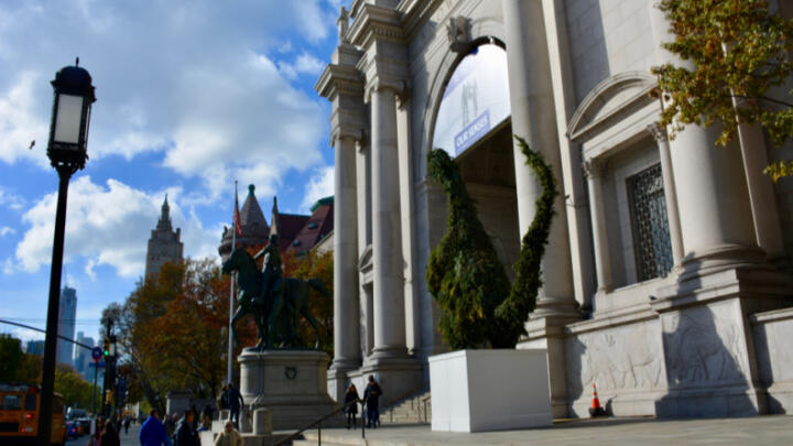 American Museum of Natural History