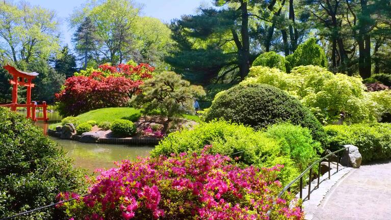 Brooklyn.Botanic.Garden.original.7344.jpg