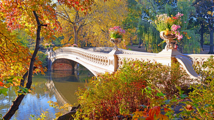 Bow Bridge in Central Park, New York.