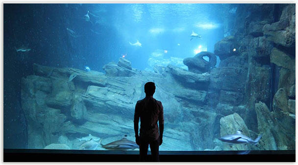 Aquarium de Paris