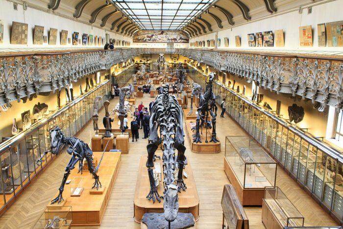 natural-history-700x467.jpg