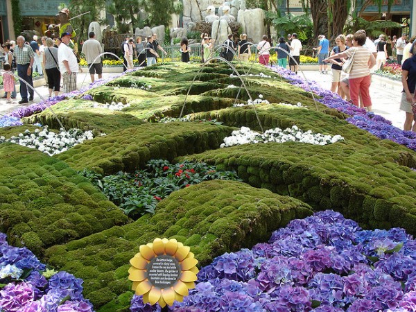 Check out the Bellagio Conservatory and Botanical Gardens in Las Vegas