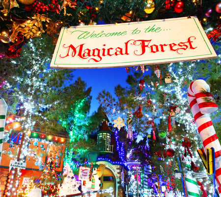 magical forest Opportunity Village las vegas